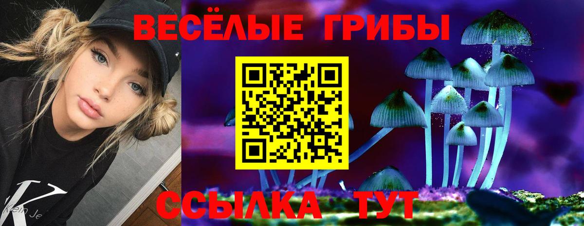 Галлюциногенные грибы ЛСД Сочи